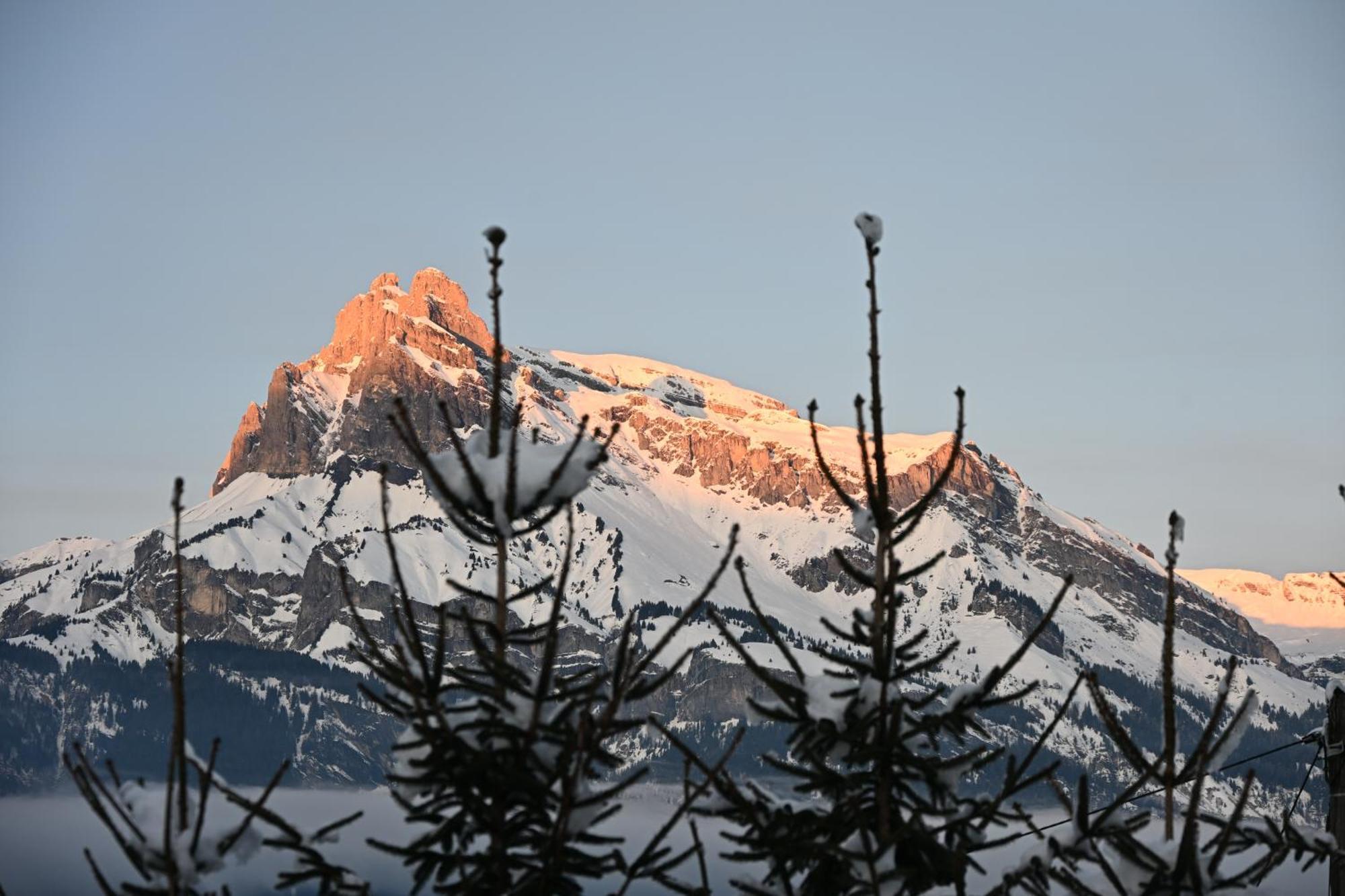 Chalet Montana Combloux Exteriör bild